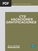 Download CTS Vacaciones y Gratificaciones by Jonathan YG SN228360364 doc pdf