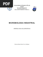 Apostila Pratica de Microbiologia Industrial PDF