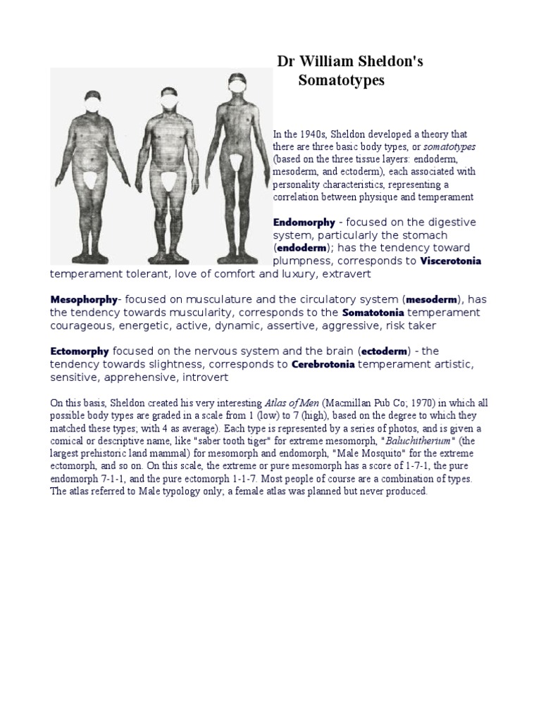 DR William Sheldon | Download Free PDF | Personality Type ...