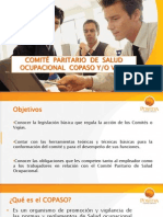 COPASO - Positiva 2009 (29 Diapositivas)