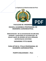 perfil de estructura del proyecto de tesis.docx