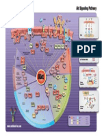 Akt Signaling Pathway: RTK GPCR NFGB