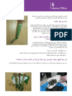 Khat Fact Sheet - Arabic