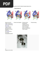  Motor DC Dwikutub Ringkas Dengan Berus