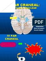 IV Par Craneal