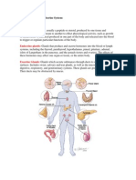 Animal Histology - Endocrine