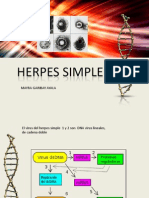 Herpes Simple.docx
