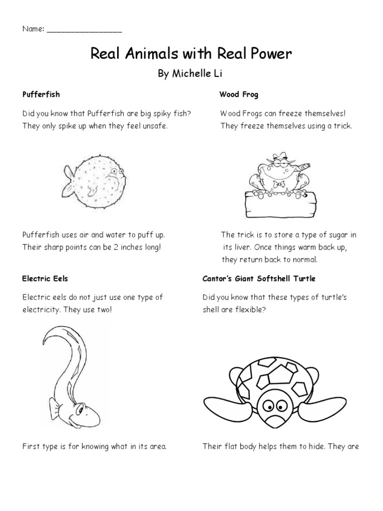 Unique Animal Adaptations Explained | PDF | Home & Garden | General Fiction