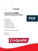 Marketing Plan PDF