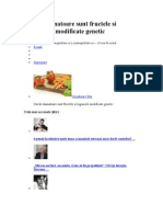 Cat de Daunatoare Sunt Fructele Si Legumele Modificate Genetic