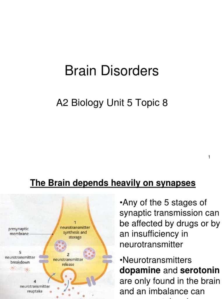 Brain Disorders: A2 Biology Unit 5 Topic 8 | PDF | Dopamine ...