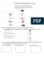 Evaluacion Ciencias Naturales Primer Año Básico Los Sentidos1