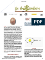 La Magie de L'oeuf..1