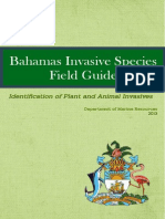 Bahamas Invasive Species Field Guide