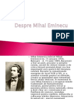 Despre Mihai Eminecu