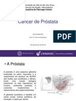 Câncer de Próstata: Sintomas, Diagnóstico e Tratamento