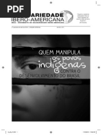 Quem manipula os povos indígenas contra o desenvolvimento do Brasil - Autores