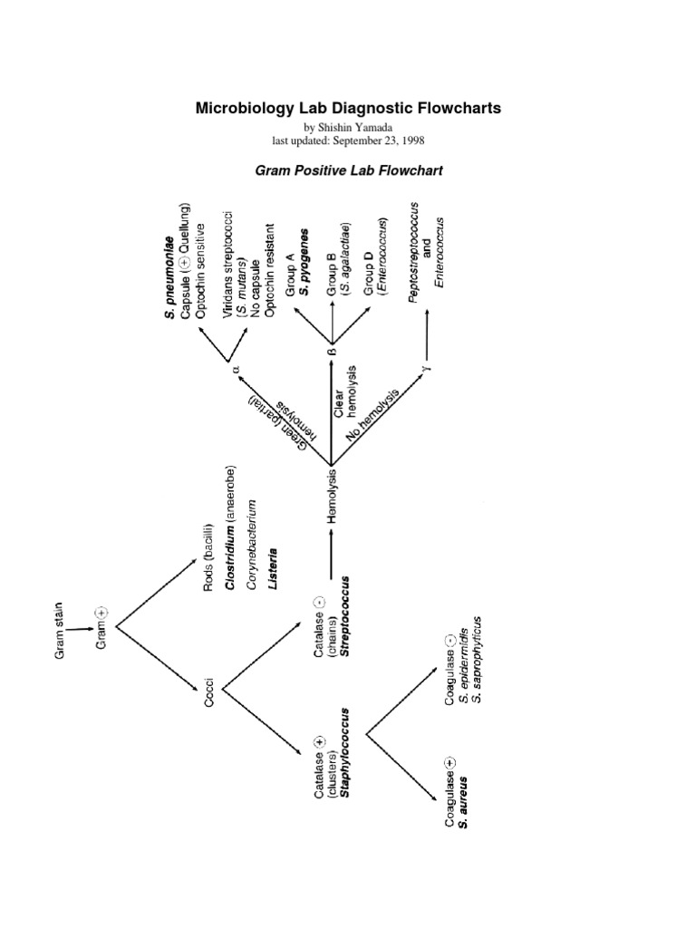 Flowchart PDF | PDF