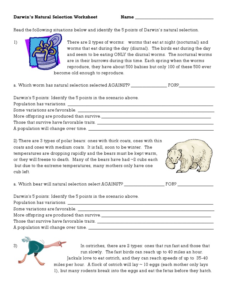 Worksheets Natural Selection Worksheet darwins natural selection worksheet bears