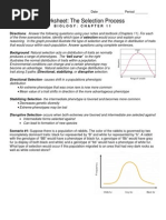 the selection process worksheet