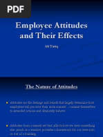 Employee Attitudes and Their Effects