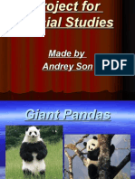 Giant Pandas~0