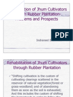 Rubber based Rehabilitation in Tripura