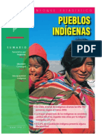 Pueblos Indigenas