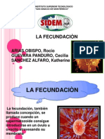 La Fecundaciòn (Ya Scribd)