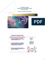 Hormonska Regulacija Metabolizma