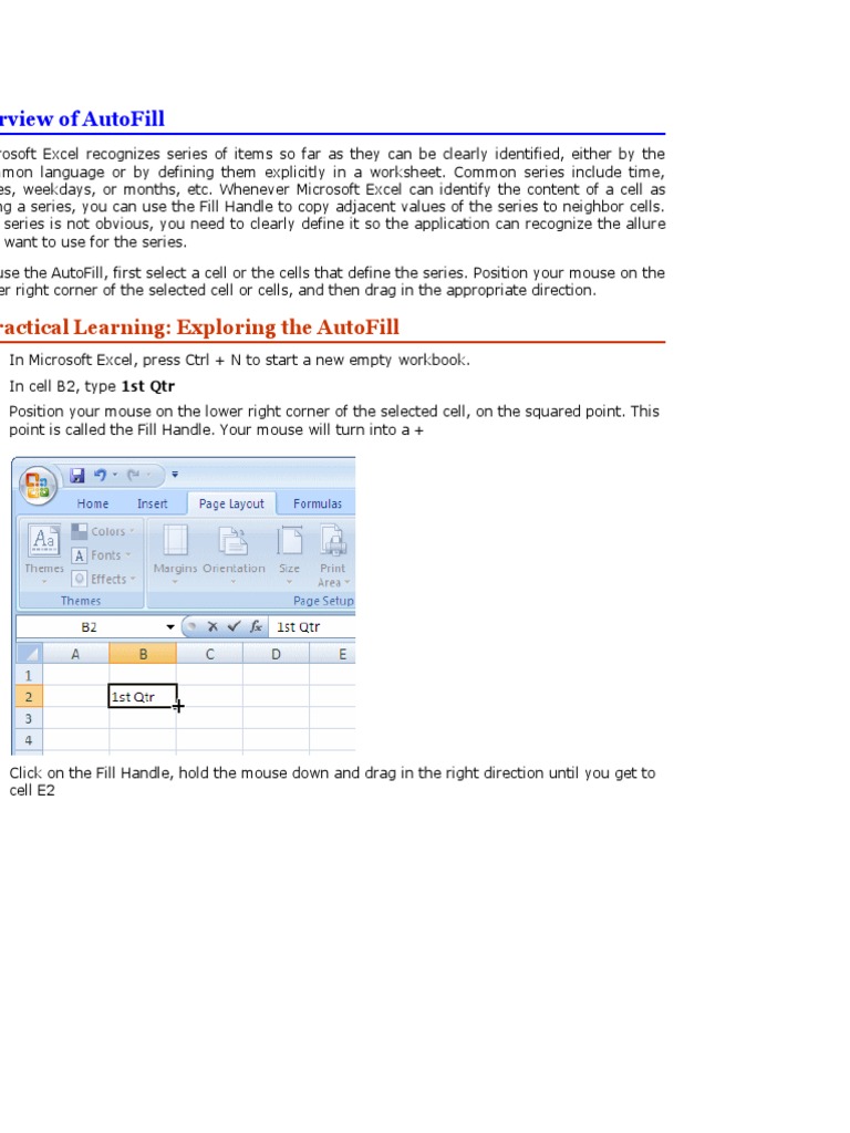 Overview of AutoFill Microsoft Excel Application Software