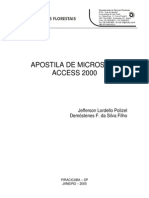 Apostila Access 2000