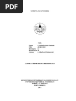Download Morfologi Anggrek by Annisa Dwinda F SN228556920 doc pdf