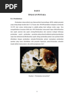 Download ICH  by aprlia SN228560509 doc pdf