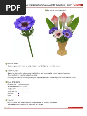Flores Papel 3