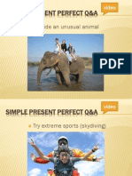 Simple Present Perfect Q&A: Ride An Unusual Animal