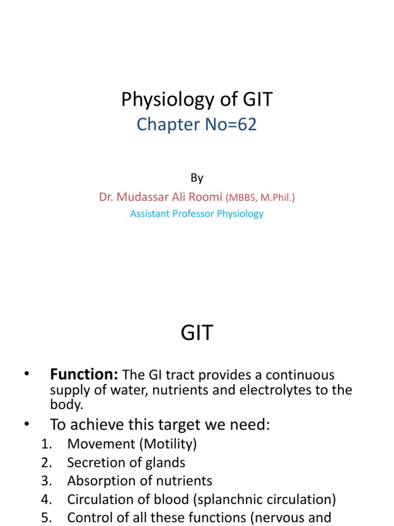 GIT Physiology Overview and Functions | PDF | Human Digestive System ...
