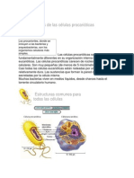 Características de Las Células Procarióticas