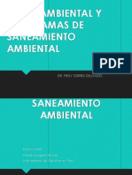 Saneamiento Ambiental