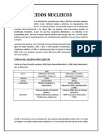 Acidos Nucleicos