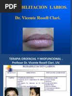 Crecimiento maxilofacial donald h. enlow pdf