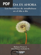 Aprender A Practicar Mindfulness Vicente Simon Pdf Reader