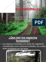 Espacios Forestales