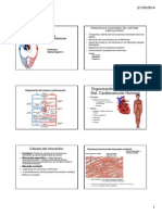 Cardiovascular Generalidades Electrofisiologia