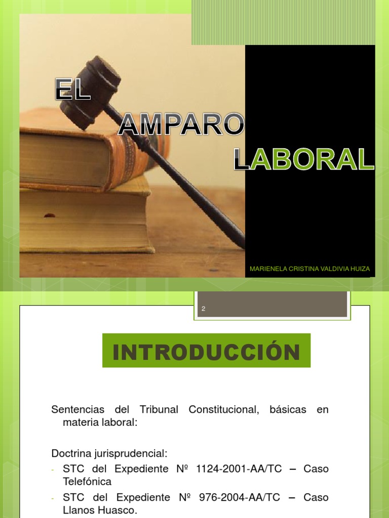 Amparo Laboral | PDF | Ley procesal | Derecho Constitucional