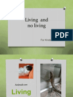 Living and No Living Presentation