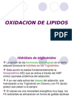 Oxidacion de Acidos Grasos 130222211619 Phpapp01