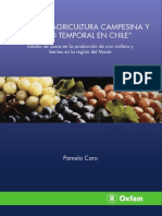 Pequeña Agricultura Campesina y Empleo Temporal en Chile 2009
