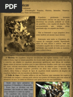 O TOMO -- Classe Caçador