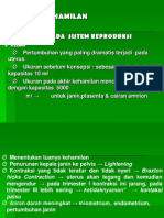 Adaptasi Fisiologi Kehamilan